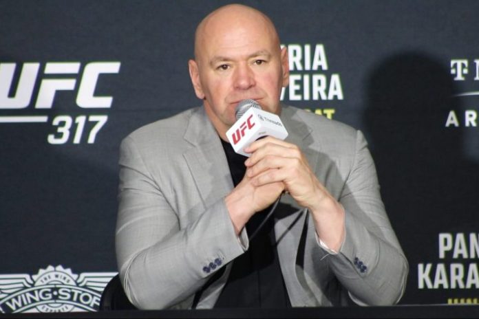 Dana White, UFC 317
