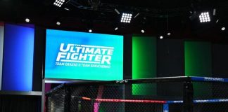The Ultimate Fighter 33