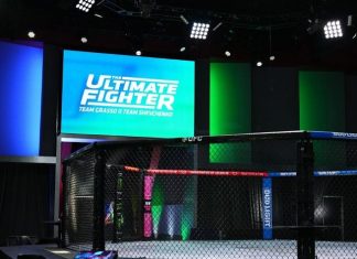 The Ultimate Fighter 33