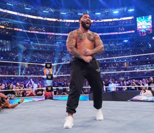 Gable Steveson, WWE