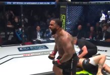 Gable Steveson, LFA 217