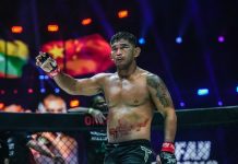 Aung La N Sang, ONE Championship
