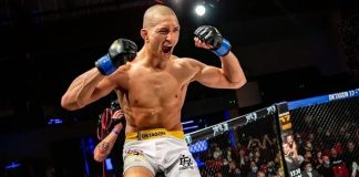 Rony Paradeiser, Oktagon