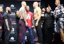 Serghei Spivac and Ante Delija, UFC Houston