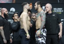 Luke Fernandez and Rodolfo Bellato, UFC 326