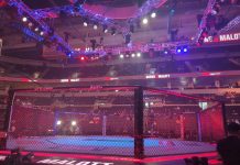 UFC octagon