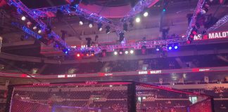 UFC octagon