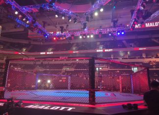UFC octagon