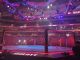 UFC octagon