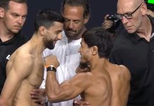 Steve Erceg and Ramazan Temirov, UFC Abu Dhabi