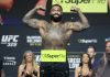 Gable Steveson UFC