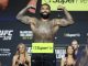 Gable Steveson UFC