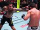 Carlos Diego Ferreira and Billy Quarantillo, UFC Vegas 120