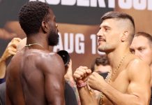 Chidi Njokuani vs. Joel Alvarez, UFC 330