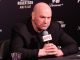 Dana White, UFC 330