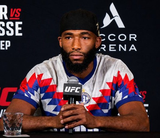 Salahdine Parnasse, UFC